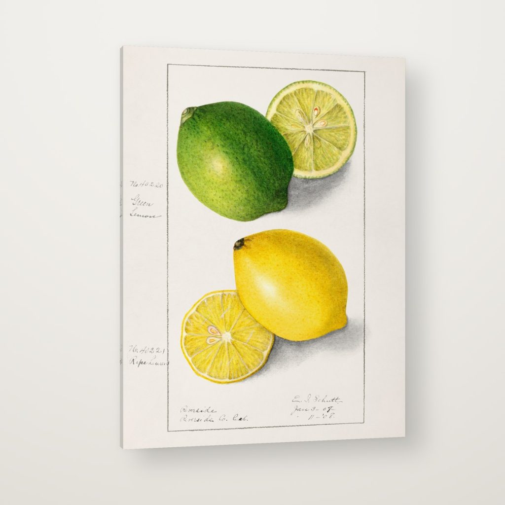 Limón y Lima en canvas con canto en espejo