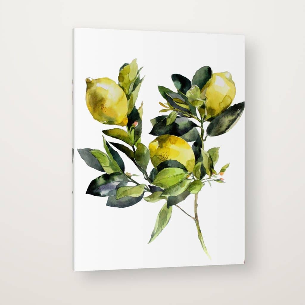 Limones en Acuarela en canvas con canto en espejo