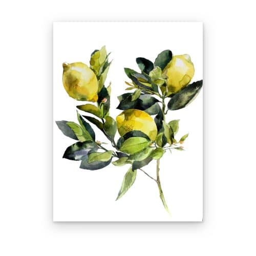 Limones en Acuarela