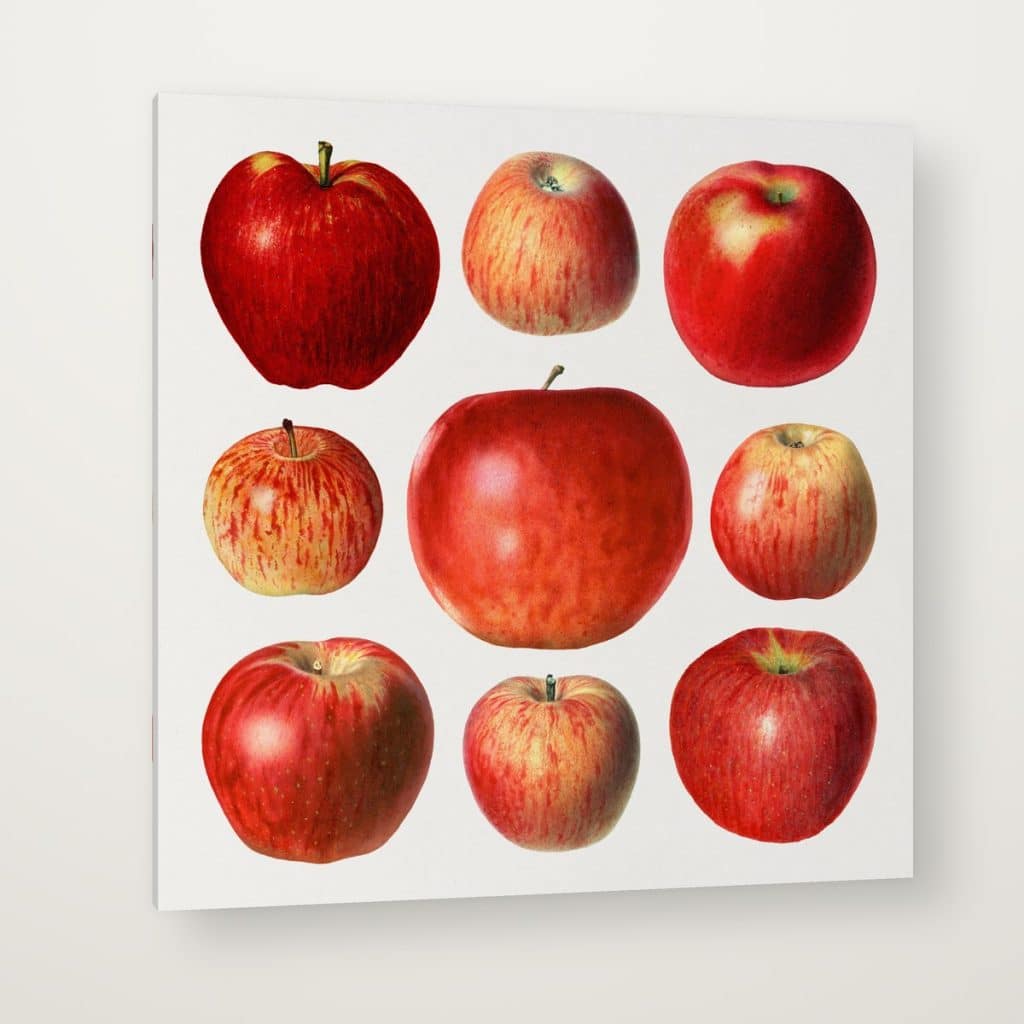 Manzanas Rojas en canvas con canto en espejo