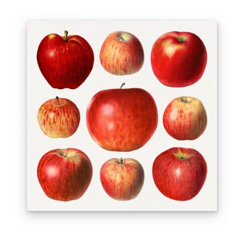 Manzanas Rojas