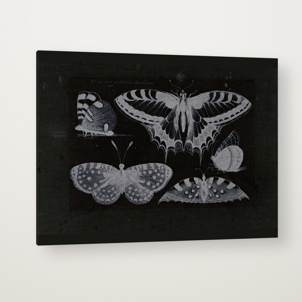 Mariposas Nocturnas en canvas con canto en espejo