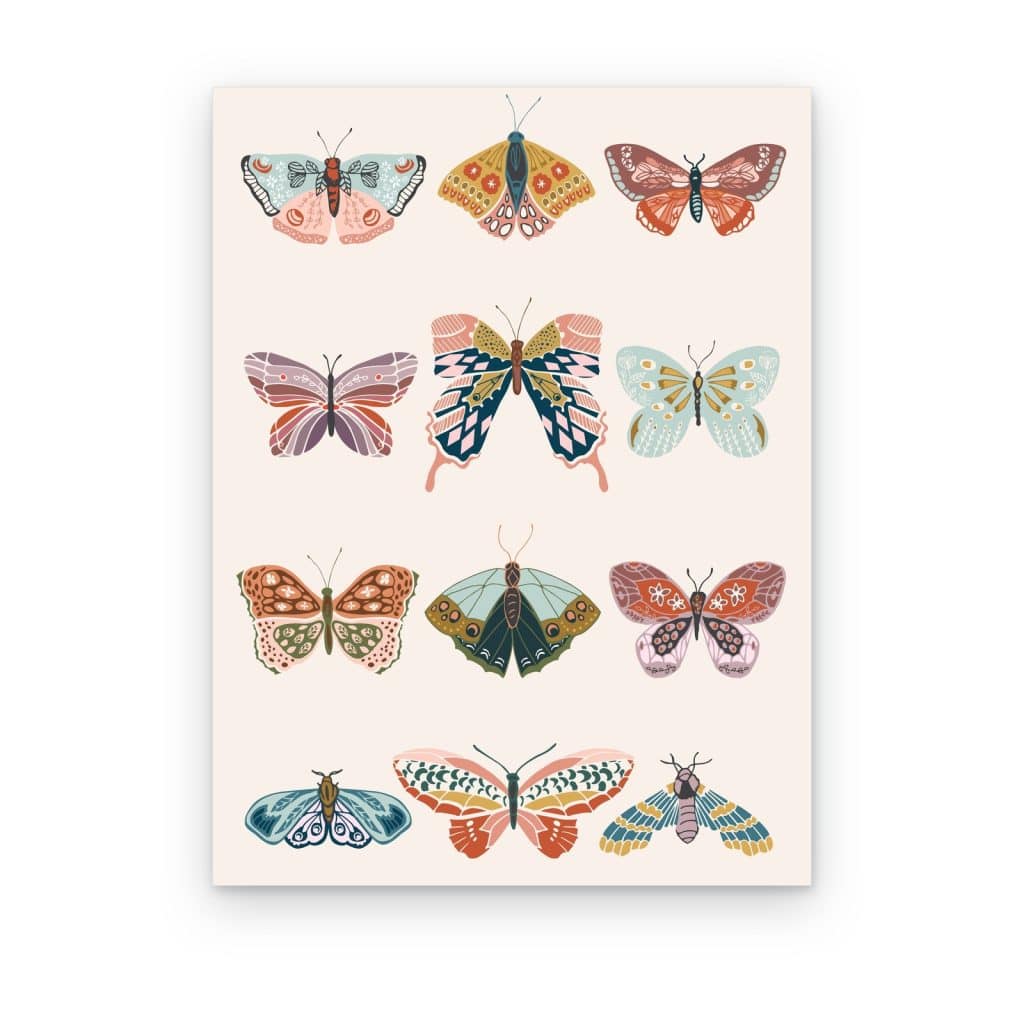 Cuadro Mariposas y Polillas impreso en canvas, doce mariposas ilustradas sobre fondo rosa