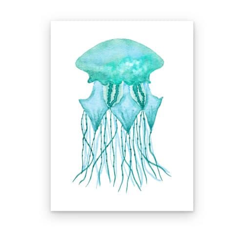 Medusa Turquesa
