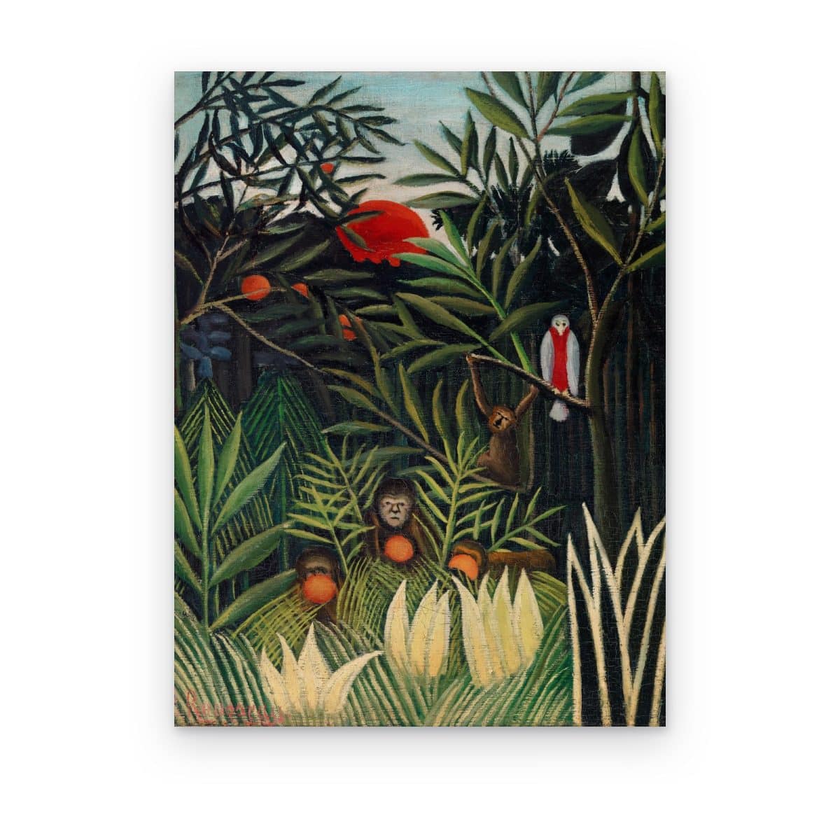 Cuadro Monos y Loro impreso en canvas, selva densa con monos, frutos naranjas y loro blanco