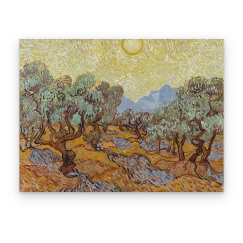 Olivos con Cielo Amarillo