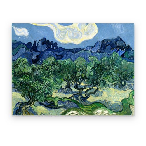 Olivos con los Alpilles