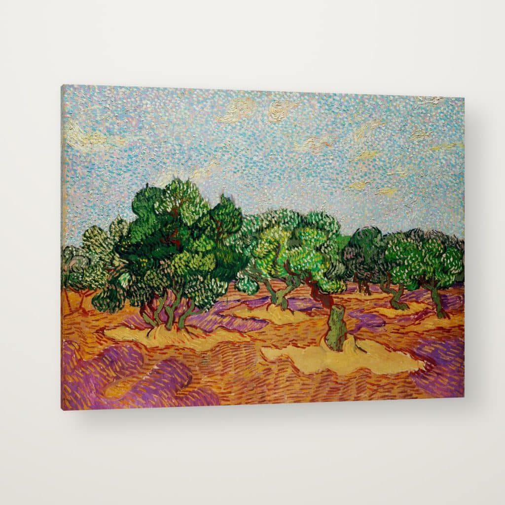 Olivos de Van Gogh en canvas con canto en espejo