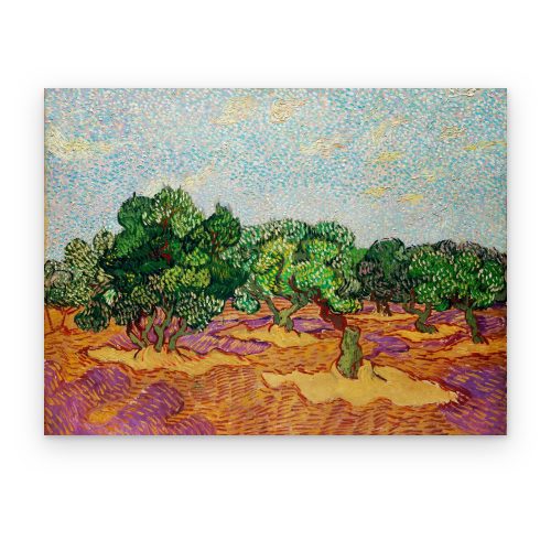 Olivos de Van Gogh