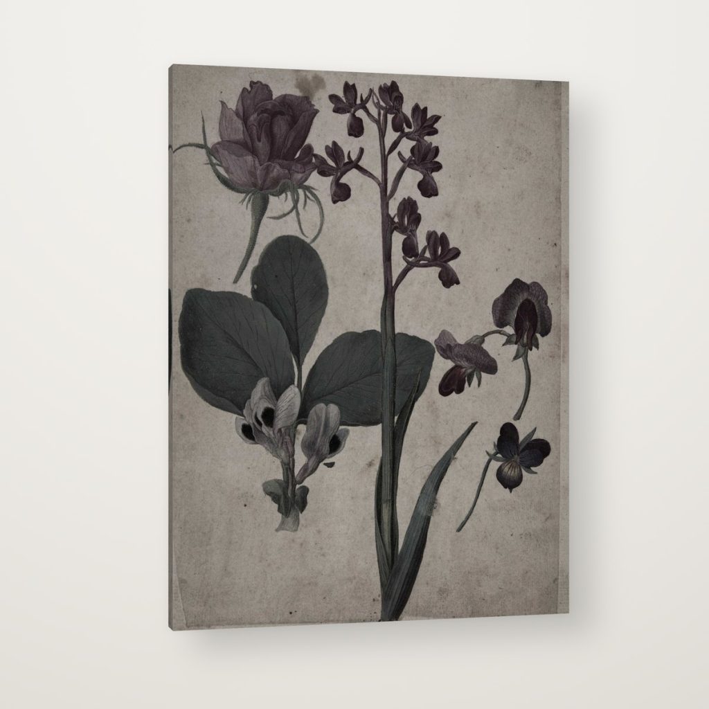 Orquídeas Silvestres en canvas con canto en espejo