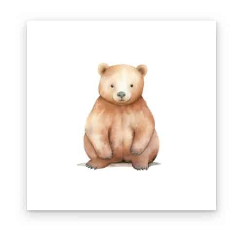 Oso Bebé