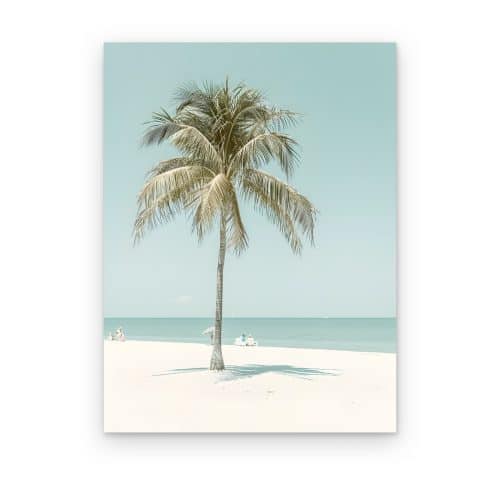 Palmera Solitaria