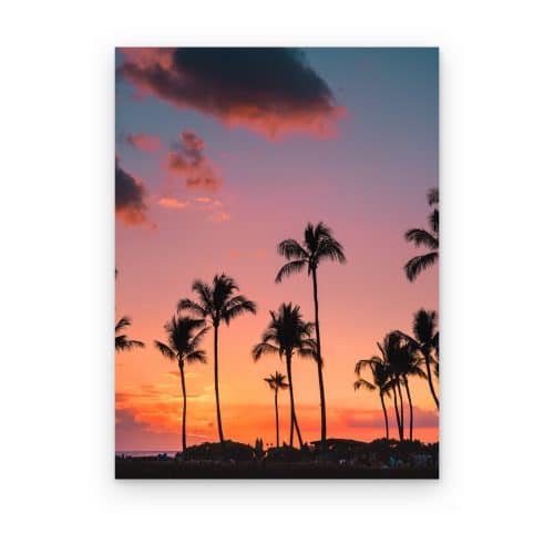 Palmeras al Atardecer