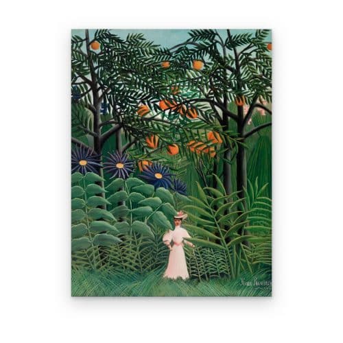 Paseo en la Selva