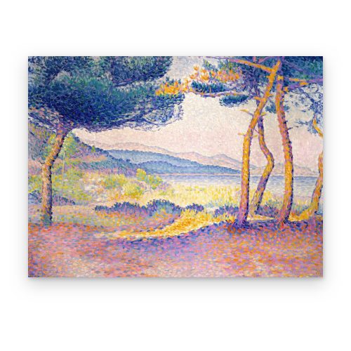 Pinos junto al Mar
