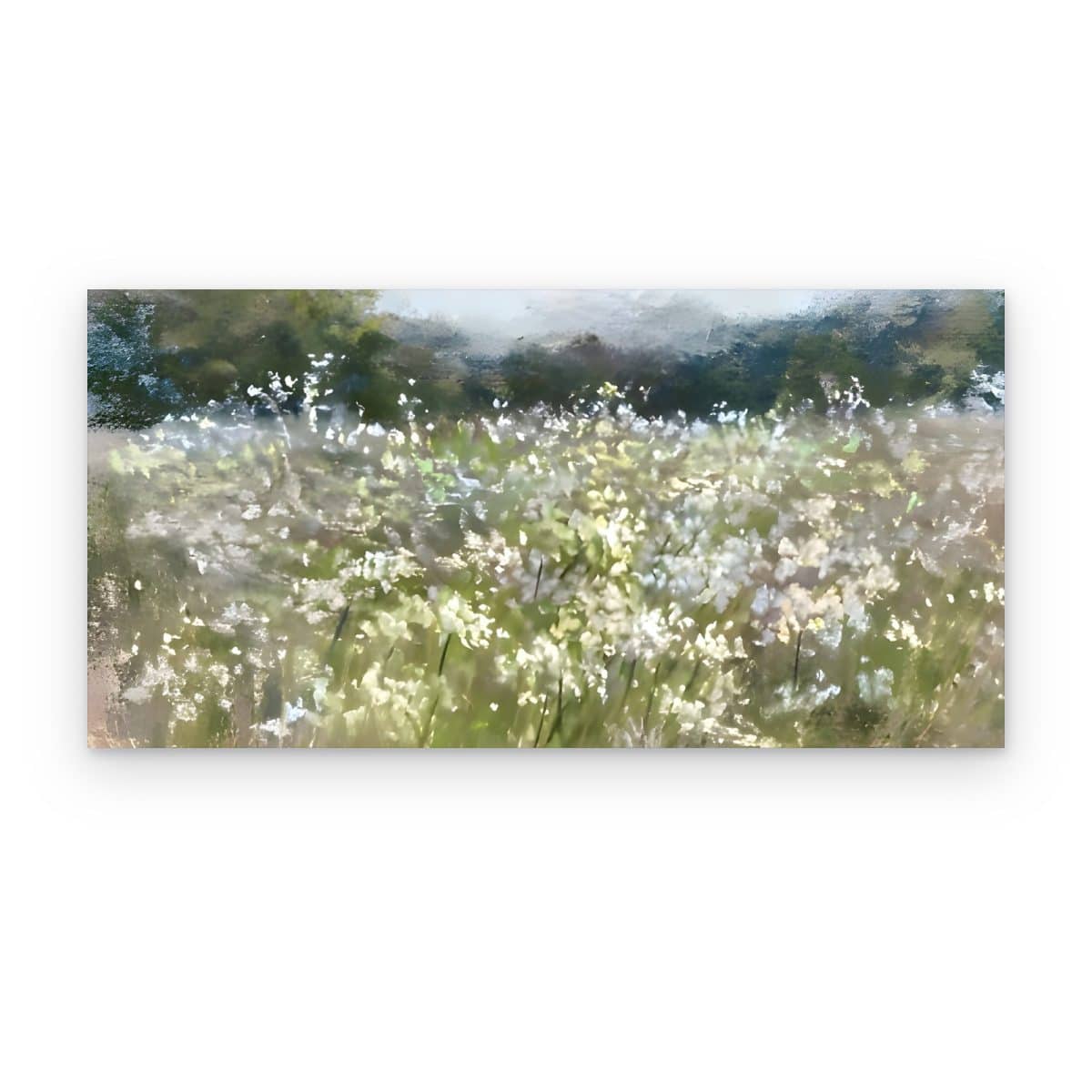 Cuadro Pradera en Flor impreso en canvas, paisaje panorámico con flores blancas