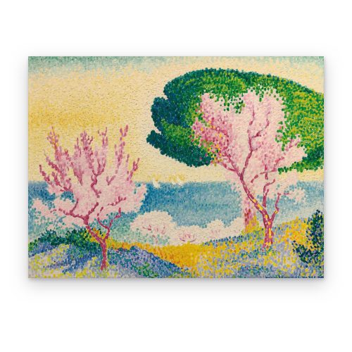 Primavera junto al Mar