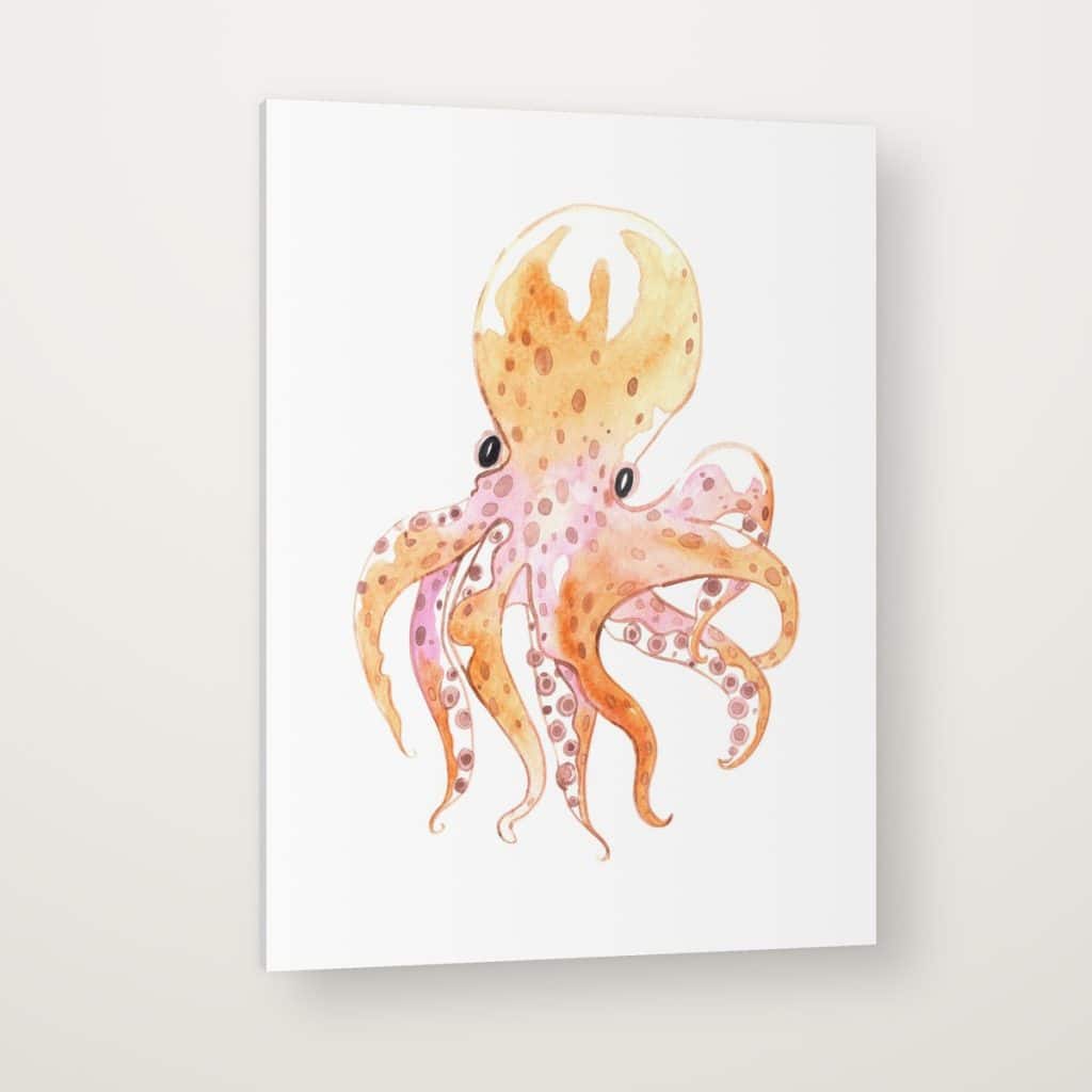 Pulpo Acuarela en canvas con canto en espejo
