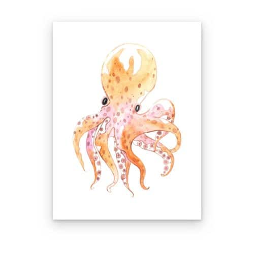 Pulpo Acuarela