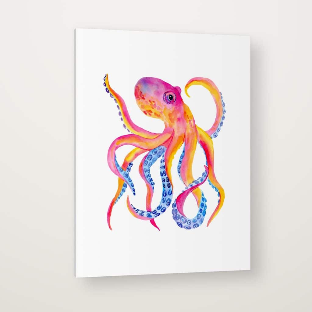 Pulpo Coral en canvas con canto en espejo