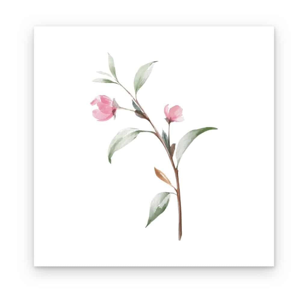 Cuadro Rama en Flor impreso en canvas, tallo en acuarela con flores rosas