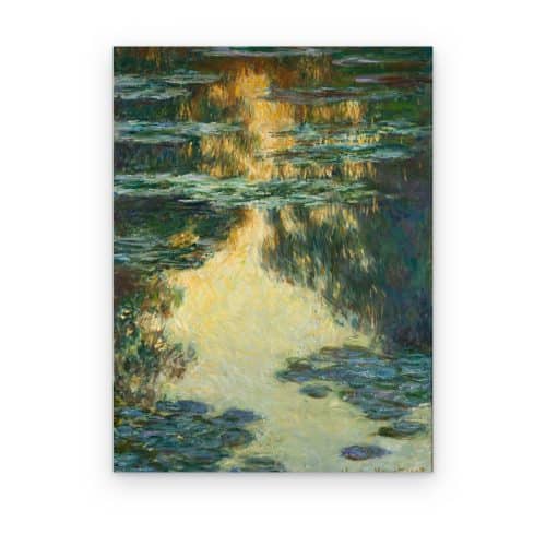 Reflejos del Estanque