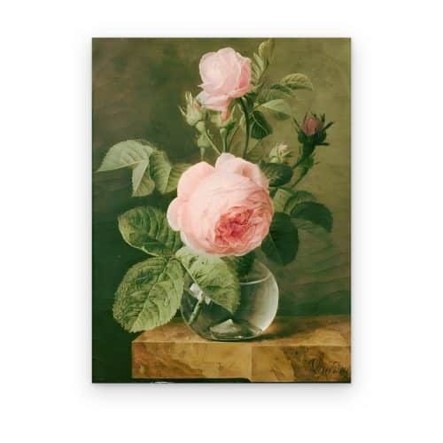 Rosa en Jarrón