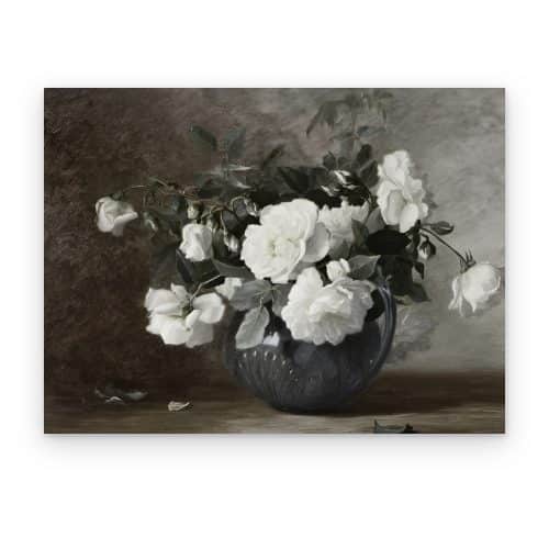 Rosas Blancas