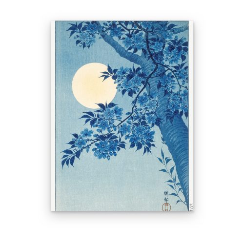 Sakura bajo la Luna