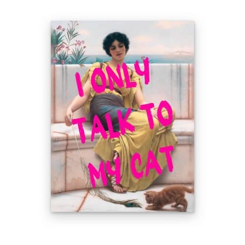 Talk to My Cat