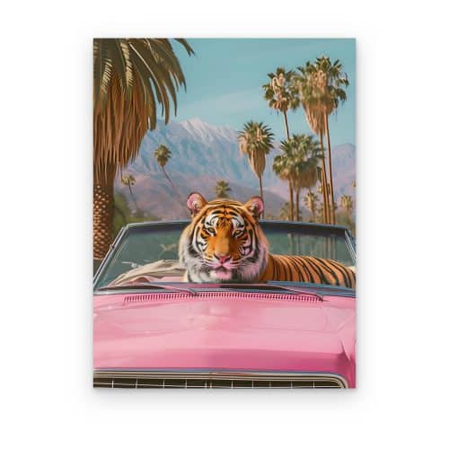 Tigre en Convertible
