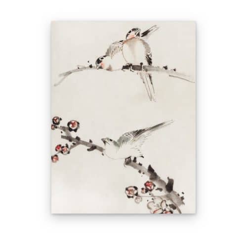Tres Aves en Flor