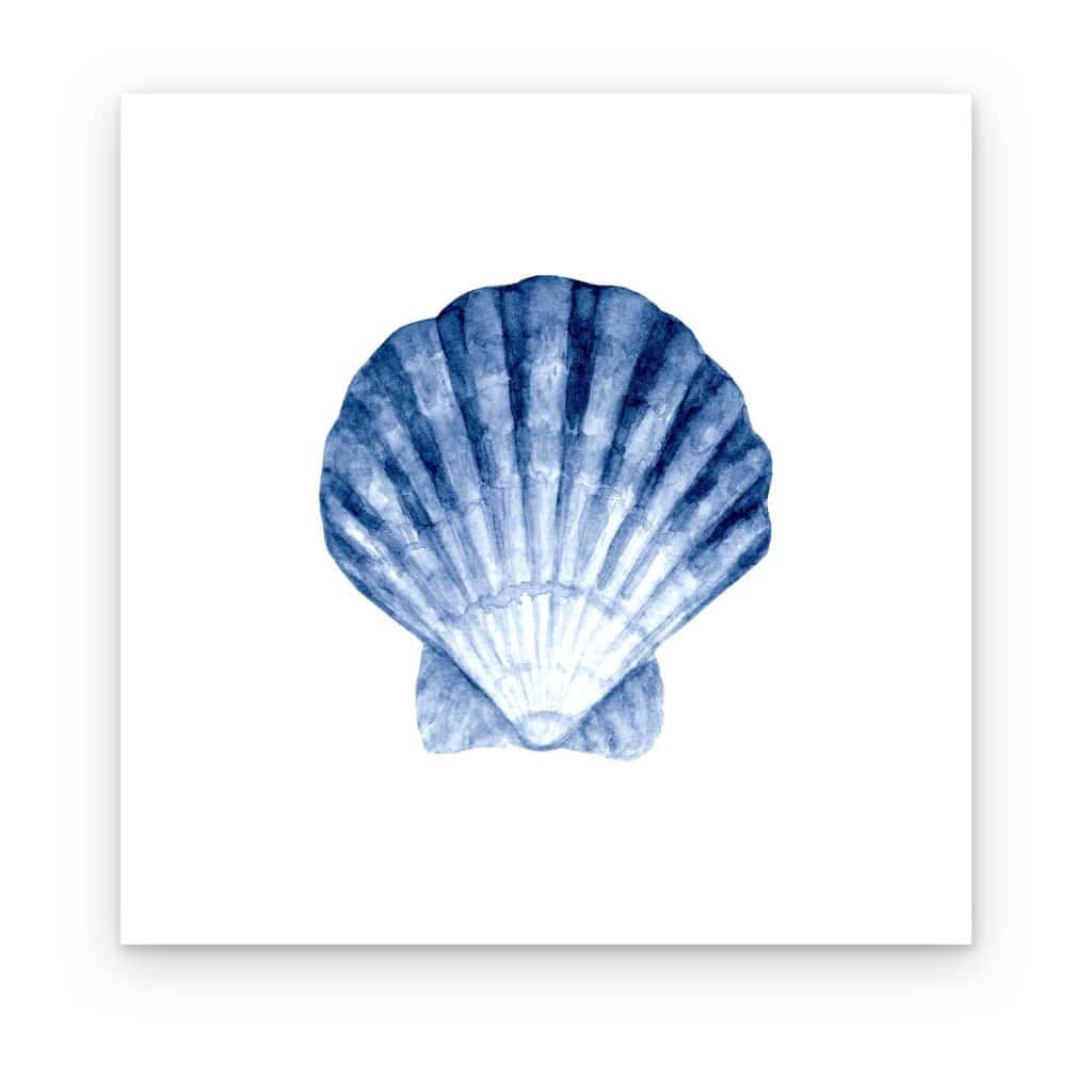 Cuadro Vieira Azul impreso en canvas, vieira en acuarela azul marino e índigo