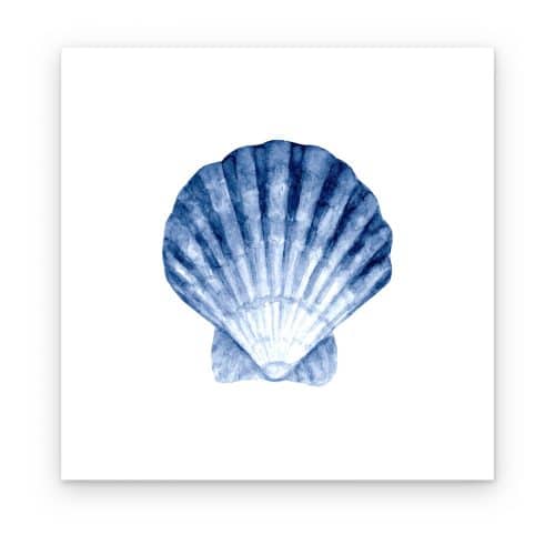 Vieira Azul
