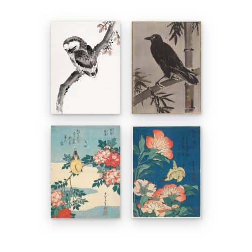 Pack Aves Japonesas
