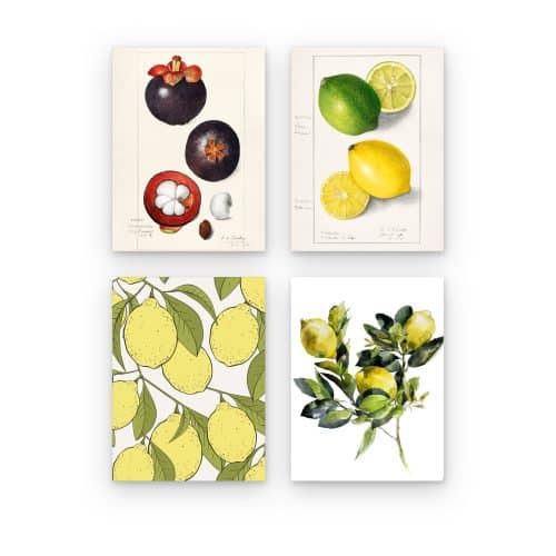 Pack Cítricos y Frutas