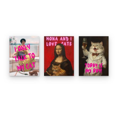 Pack Gatos con Actitud
