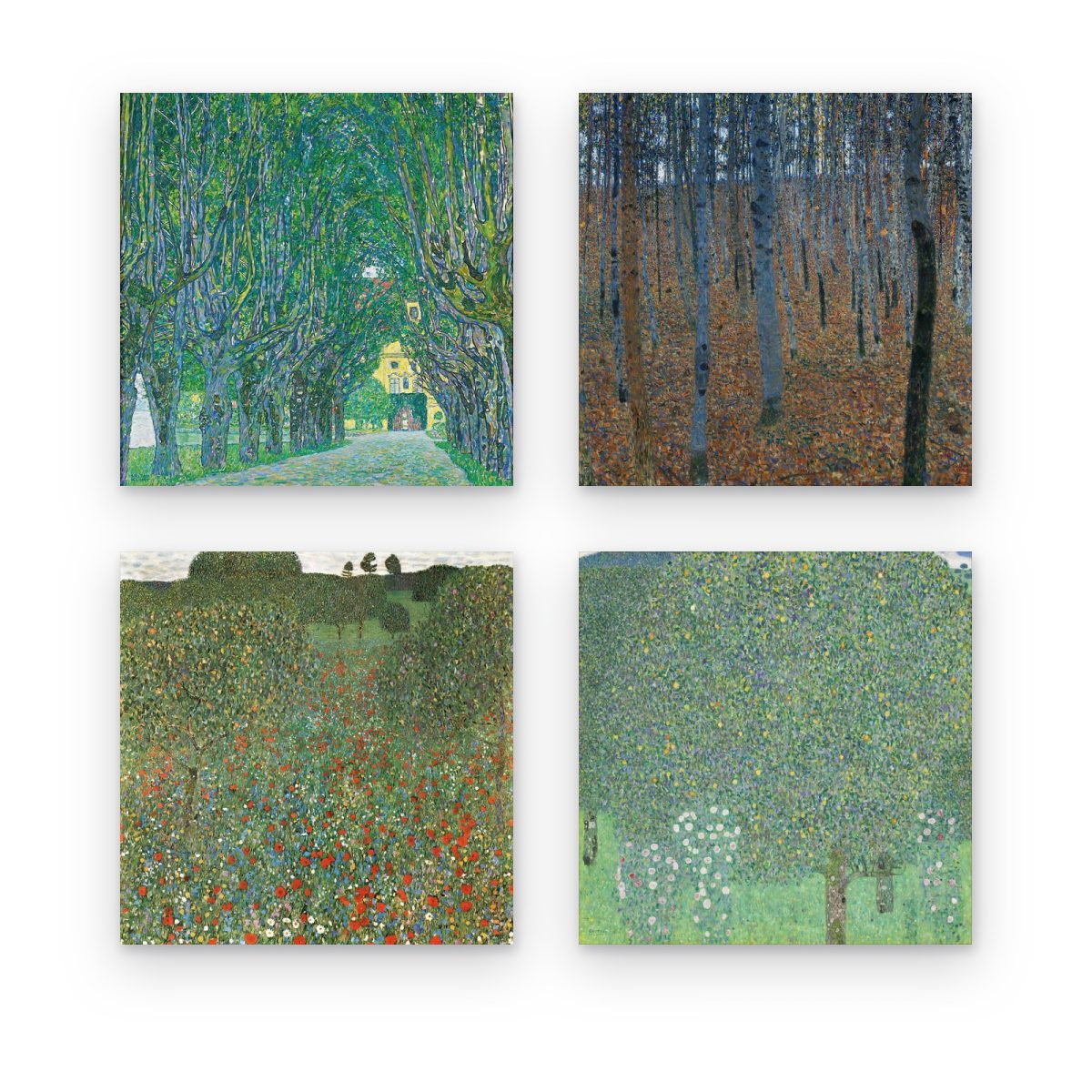 Pack Paisajes de Klimt: 4 cuadros, Avenida del Castillo Kammer, Bosque de Hayas, Pradera de Amapolas y Rosales bajo los Árbol