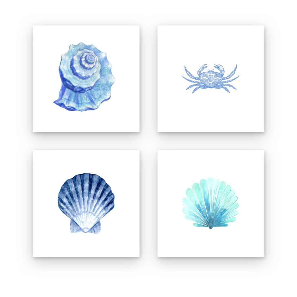 Pack de 4 cuadros Vida Marina Azul impresos en canvas, conchas y cangrejo en azul
