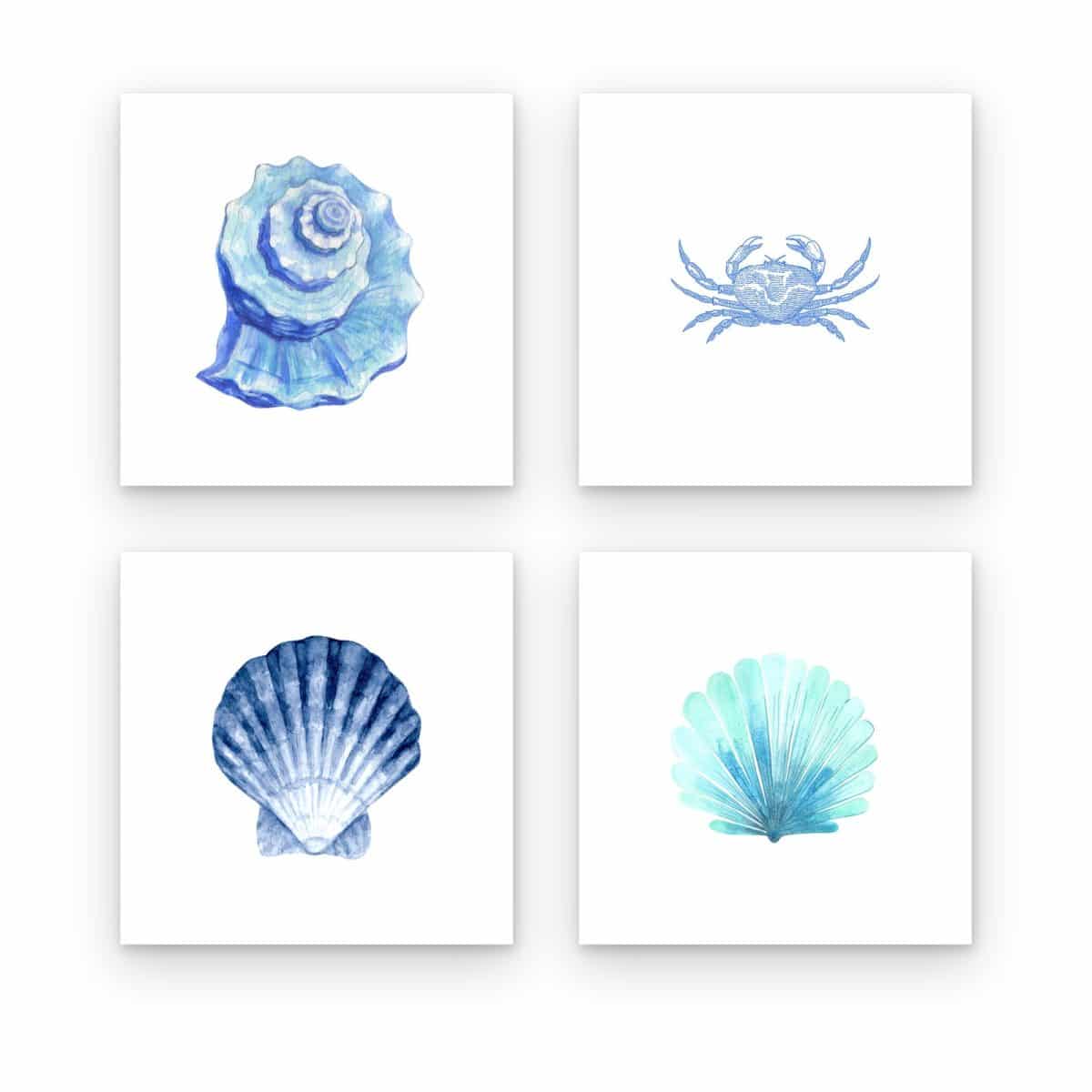 Pack de 4 cuadros Vida Marina Azul impresos en canvas, conchas y cangrejo en azul