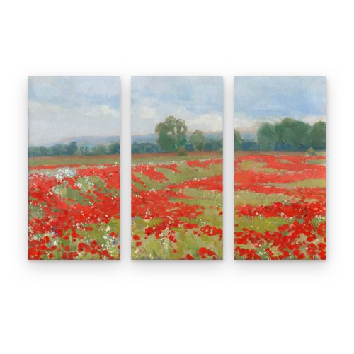 Set Amapolas bajo Nubes