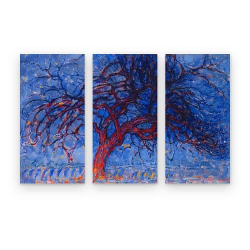 Set Árbol Rojo
